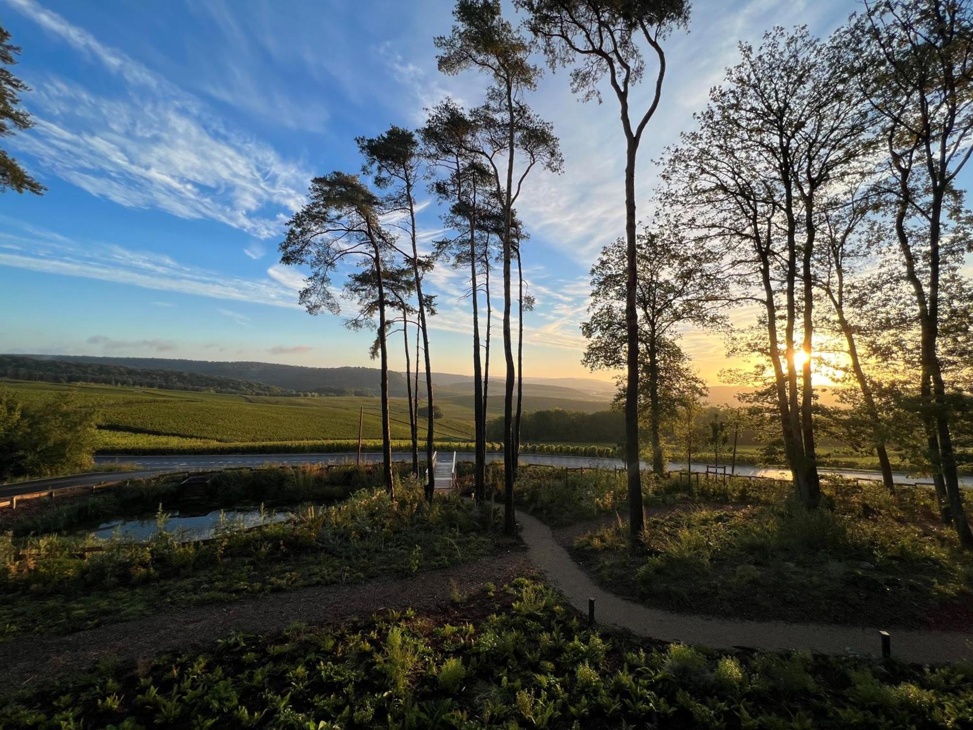 Loisium Wine & Spa Hotel Champagne Mutigny Exteriér fotografie